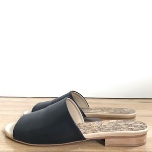 Sydney Brown Flat Slide - Black